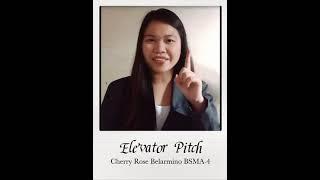 Elevator Pitch on Organic Fertilizers by Cherry Rose Belarmino