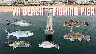 Fishing Virginia Beach Pier | Atlantic Ave VA (Mackerel, Bluefish, Weakfish, Whiting, Spot, Croaker)