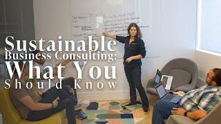 Sustainable Business Consulting: What You Should Know