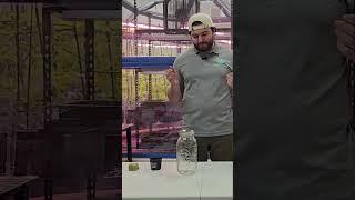 What Is the Kratky Method? Hydroponics Made Easy! 
