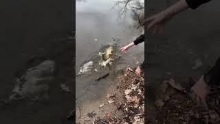 First open water fish of the year!!