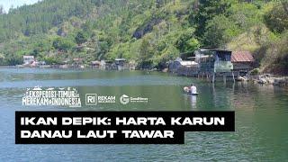 Ikan Depik: Harta Karun Danau Laut Tawar