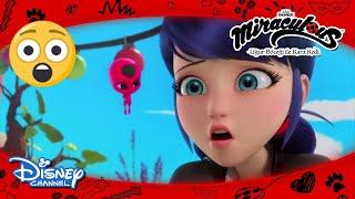 Mucize: Uğur Böceği ile Kara Kedi I Marinette Her Şeyi Mahvediyor! I Disney Channel TR
