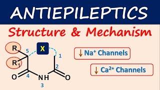 Antiepileptics- Structure and mechanism