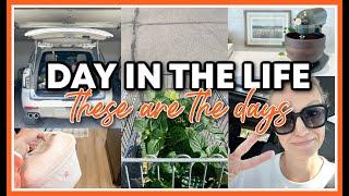 I'M LOSING IT! | PRODUCTIVE, ON THE GO DAY IN THE LIFE 2025