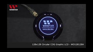 Winstar Round LCD Display - WO128128A