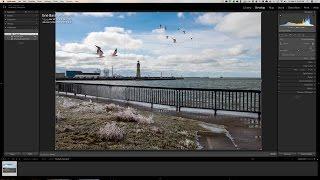 Lightroom Quick Tips - Episode 85: Two Crop-Tool Tips