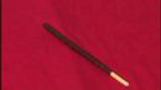 It's Pocky!