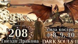 #208 – Гнездо Дракона (СК = 8, 9, 10) – фарм, тесты, тактика…(Dark Souls II – Прохождение за рыцаря)