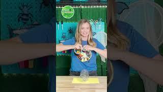  Make A Water Bottle Rocket | Science For Kids #scienceactivity #bottlerocket #waterbottlerocket