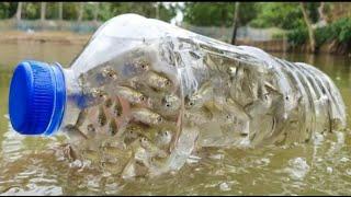 [ How To Make Bottle Fish Trap ] Boy Catch Fish With Plastic Bottle Fish Trap | Fishing Tube