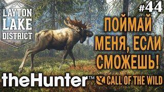 theHunter call of the wild #44  - Поймай Меня, Если Сможешь! - Винтовка - Лось, Медведь