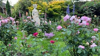 Rose Garden in Summer