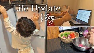 Life Update with a Vlog | Best Healthy dessert for sugar cravings | Vegetable pulao