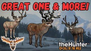 I Found The Great One  Mule Deer LIVE On Stream!