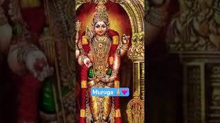Bala Muruga Potri 🩷 #murugan #murugantemple #omsaravanabhava #bhakti