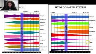 Cannabis PH - Best PH Level For Growing Potent Cannabis