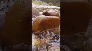 GOLD MINING #goldmining #goldextraction