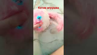 милый котик игрушка