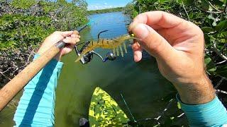 First Key Largo Fishing Experience - Florida Keys Adventure Epi 1