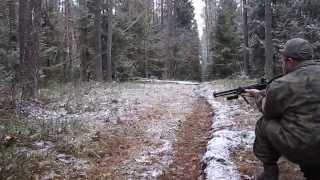 Auf der Jagd nach Wildschweine mitten in Sibirien