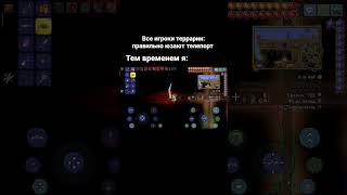 я и портальная пушка #террария #terraria #мемы #телепорт