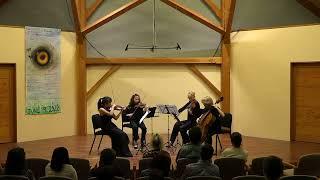 "Middlegrounds" for String Quartet - Katharina Mueller