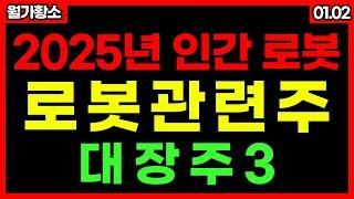 [ 2025년 급등주 특집 ] 2025년은 로봇의 시대!! 본격적으로 개화할 휴머노이드!! 대장주 3 휴머노이드 협동 로봇 관련주 #월가황소