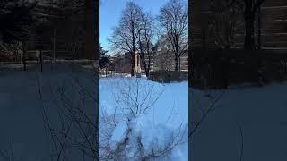 #snow #torontotravelguide #torontotourism #winter #torontotour #torontotravel #travel