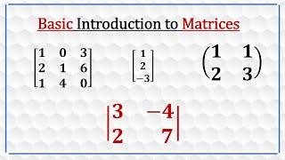 Basic Introduction to Matrices