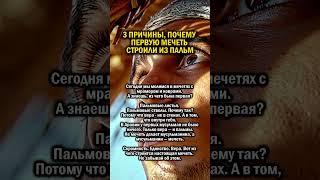 МЕЧЕТЬ ИЗ ПАЛЬМ     #история #ислам #мусульмане