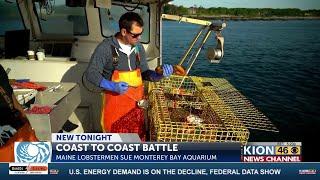 MAINE LOBSTER VS MB AQUARIUM