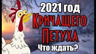 2021 год Кричащего Петуха. Что ждать?