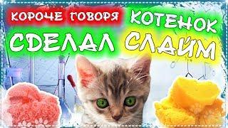 КОРОЧЕ ГОВОРЯ, КОТЕНОК СДЕЛАЛ СЛАЙМ \ Бездомный котенок Лайки слаймер и сделал лизун