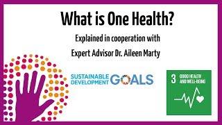 What is One Health?