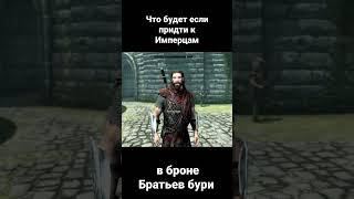 Skyrim Что будет если прийти к имперцам в броне братьев бури