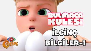 İlginç Bilgiler - 1 | Bulmaca Kulesi