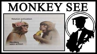 What’s The Story Behind Monkey Sees Action, Neuron Activation?