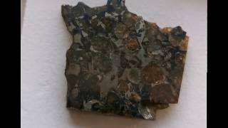 Brahin Pallasite Tint Etch - Brahin Pallsit Farbätzung