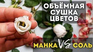 Объемная сушка цветов в СОЛИ и в МАНКЕ. Что лучше? Мой опыт.