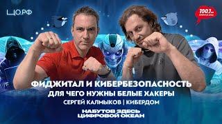 Кибербезопасность – для чего нужны белые хакеры: Сергей Калмыков | Набутов здесь. Цифровой океан