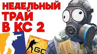 Новичок НЕДЕЛЮ играл в КС 2 и вот ЧТО из ЭТОГО ВЫШЛО #csgo #ксго