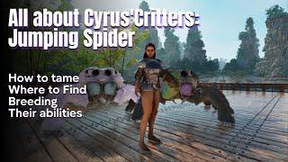 How to tame a Cyrus' Critters (Thorax Spider): Jumping Spider