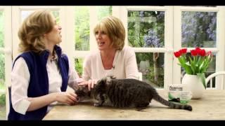 How to apply FRONTLINE® Spot On to cats