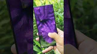 "NUBIA Z7O ULTRA - MACRO PHOTOGRAPHY TEST " #smartphone #nubiaz70ultra #cameratest
