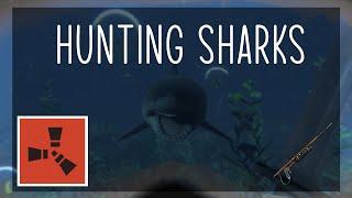 How to EASILY kill sharks | Rust