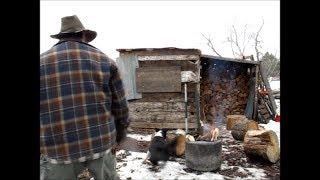 Idaho Hillbilly Homestead Chores & Chat