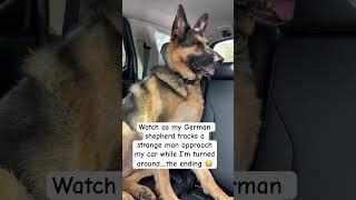 A STRANGE MAN approached women in car with a German shepherd #shorts #germanshepherd