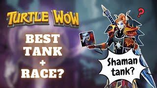 Turtle WoW Top Tank Class + Race Choice for Patch 1.17.2 - Tower of Karazhan!