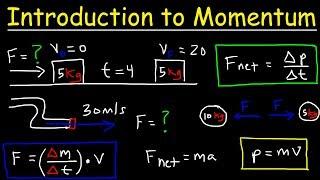 Introduction to Momentum, Force, Newton's Second Law, Conservation of Linear Momentum, Physics